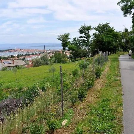 Izolanka / Great Location / Sea And View Apartmán *